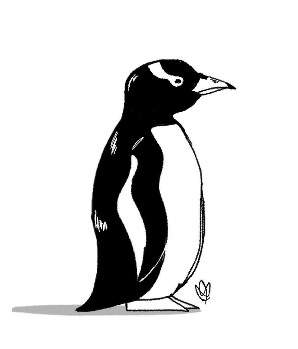 penguin_MZT's tweet photo. self portrait https://t.co/t1z6T9cInh