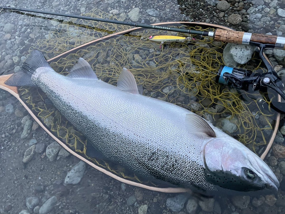 きつねめばる on X