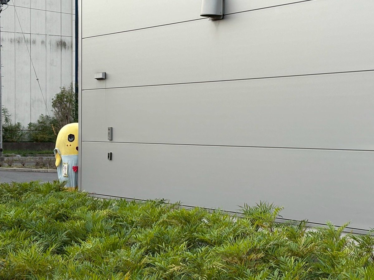 funassyi's tweet photo. (。゜▽゜| じー https://t.co/FiZIaYMGMW