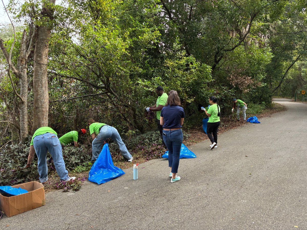 SERVProgram's tweet image. We had a great time working with AdventHealth on 11/6/25 during their “Week of Caring”! Together we removed 35 bags of invasive inch plants from the Kewannee Trail and planted 13 native ferns in Kewannee Park😃🌿Nice job, team!