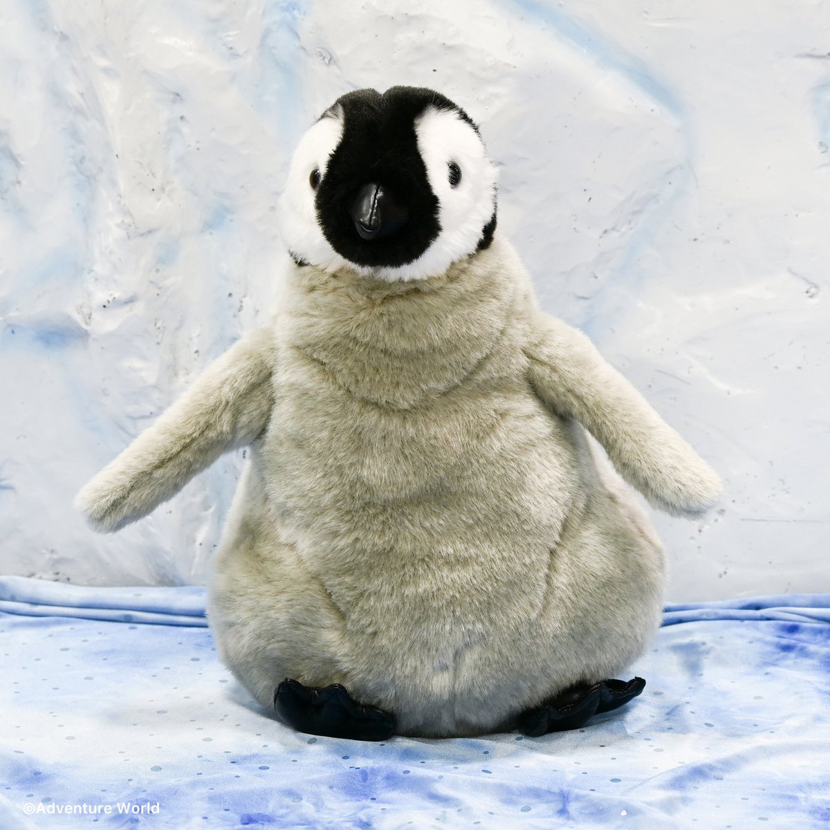 🐧どっちがホンモノ？どっちがぬいぐるみ？🐧 エンペラーペンギンの