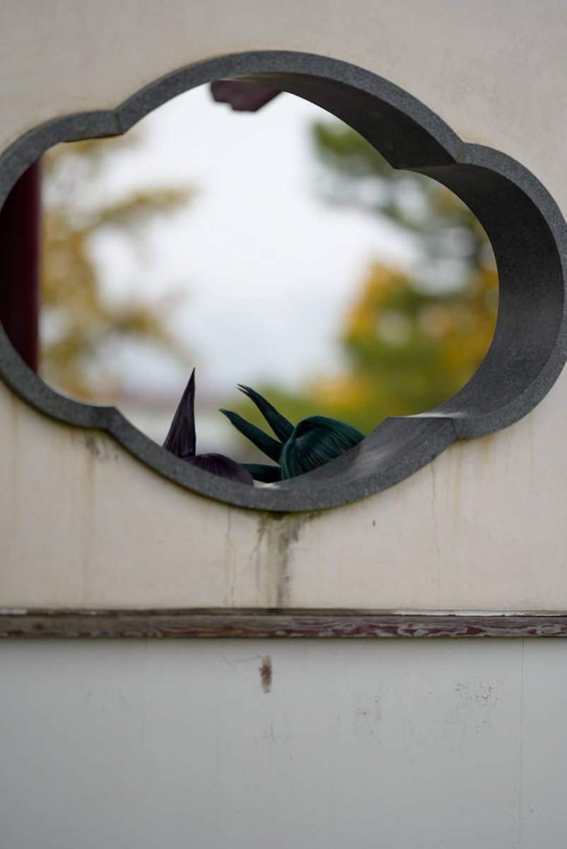 そくほーw

弟と姉のとんがりw