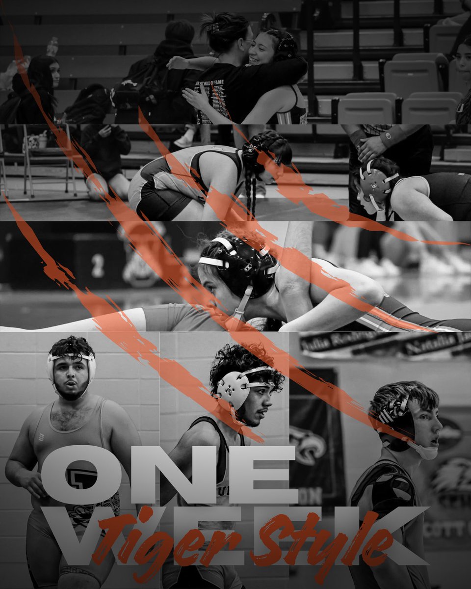 Coach Albert Ulysses tweet media