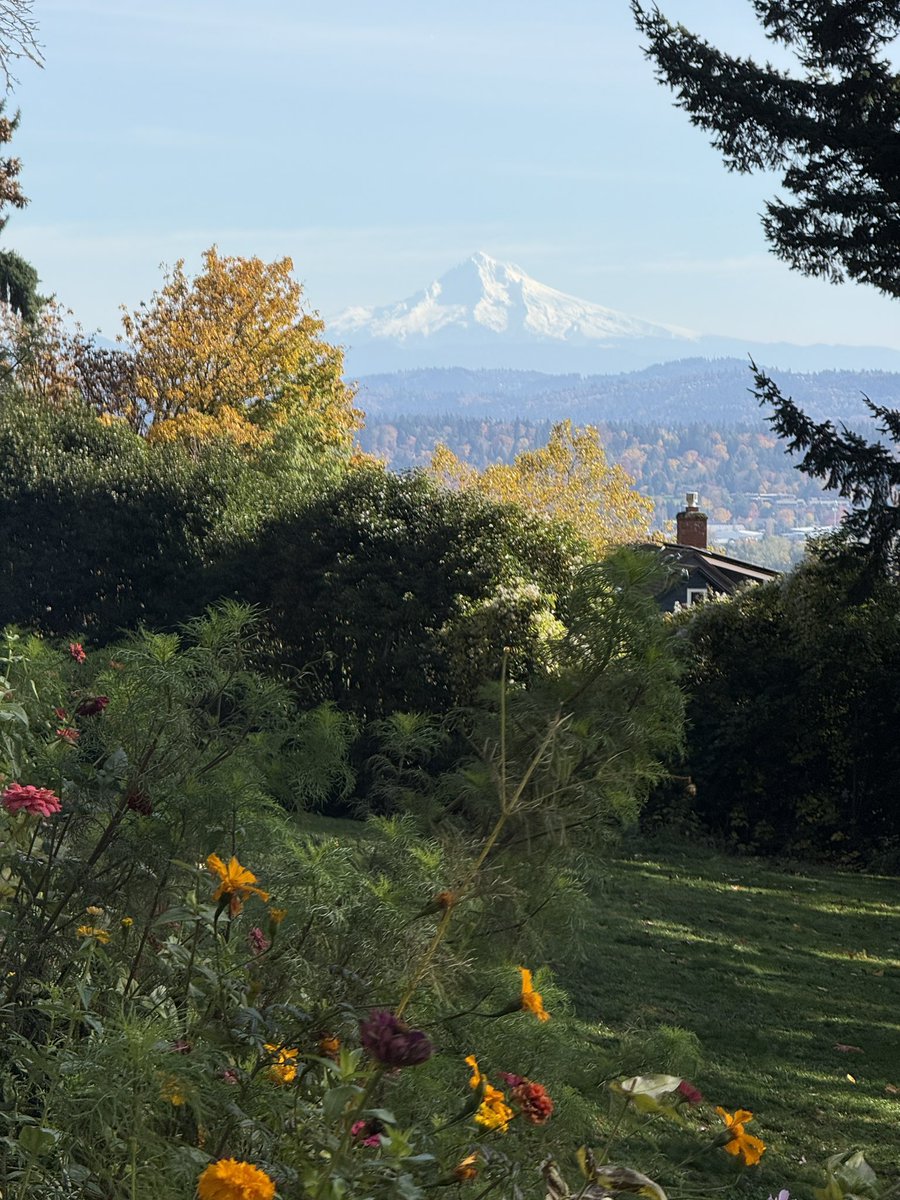 nicholasfukc's tweet image. Living in Portland is so crazy. Look at that thang