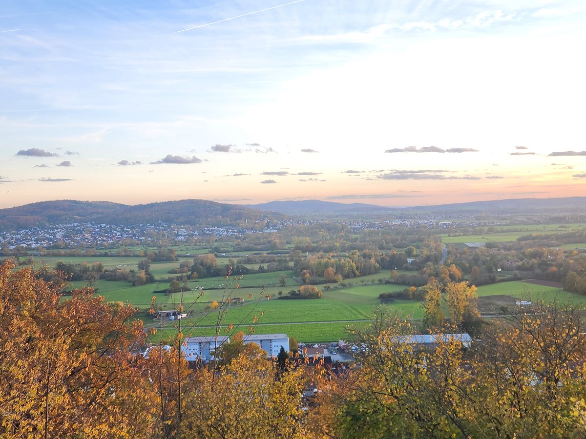 David Jahner tweet media