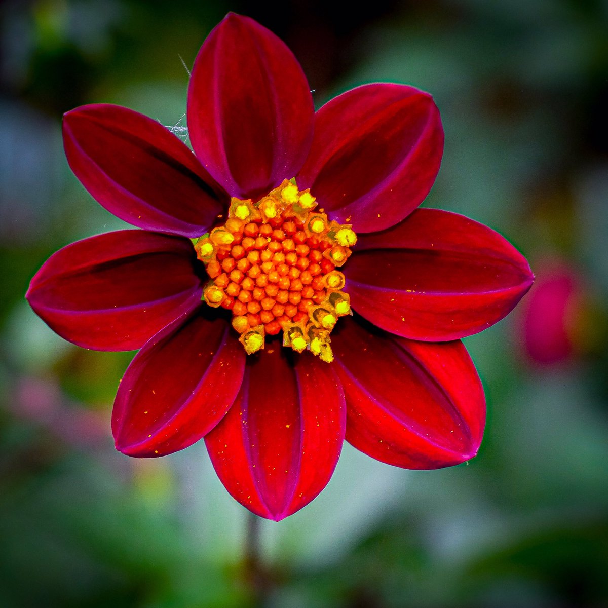 Paul Inman FRSA tweet media