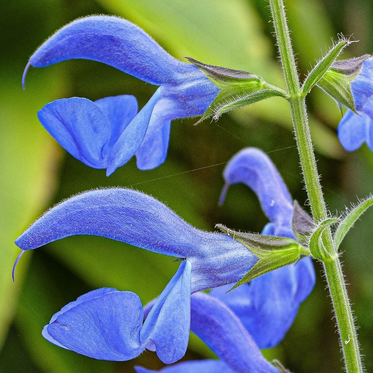 Paul Inman FRSA tweet media