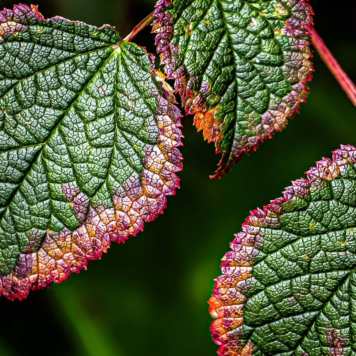 Paul Inman FRSA tweet media