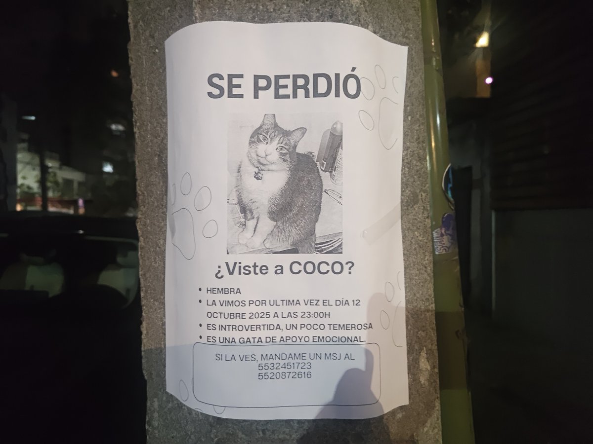 ExeOps's tweet image. Gato perdido en Benito Juárez. Favor de difundir.
@LordGatus @MascotasSismo @xjusticianimal
@CdmxHuellas @VillaDeCortesBJ @tzolko
@anglikcnrrs @her_kat @ColDelValleBJ @coldelvallecdmx @patimtorres @Lacasadeazul
#gatoperdido