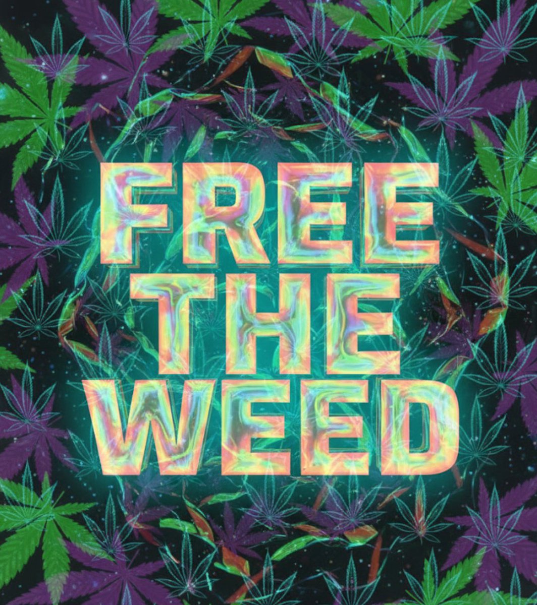 Skot Highafone🎖️ tweet media