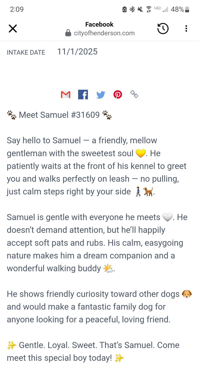 This is the dog I saw in the wash, later rescued by volunteers. He's at the shelter in Henderson, NV. He's up for adoption. I included the description in 2nd pic. I believe adoption fees are waived. All other fees apply. Please share. Thank you!!!