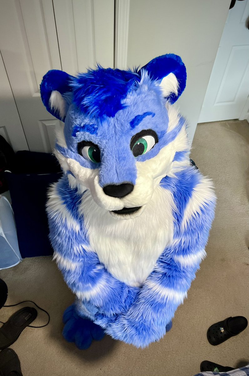 TybaricTiger's tweet image. Smol Squad 💙 

📸: SnepSakai