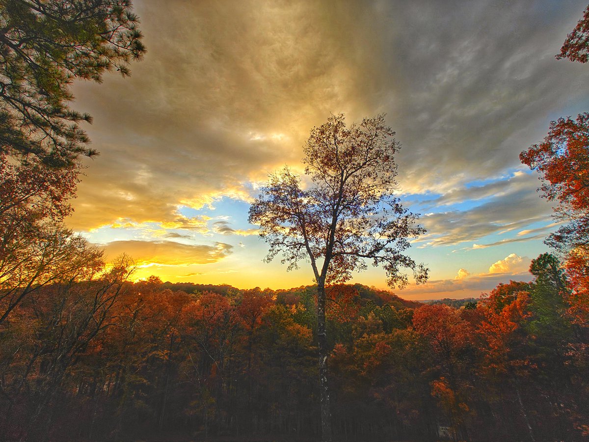 jpaulrussell's tweet image. Those backporch Fall sunsets. 🍂🍁😎

#FallColors #FallVibes #photograghy 
@BradNitzWSB