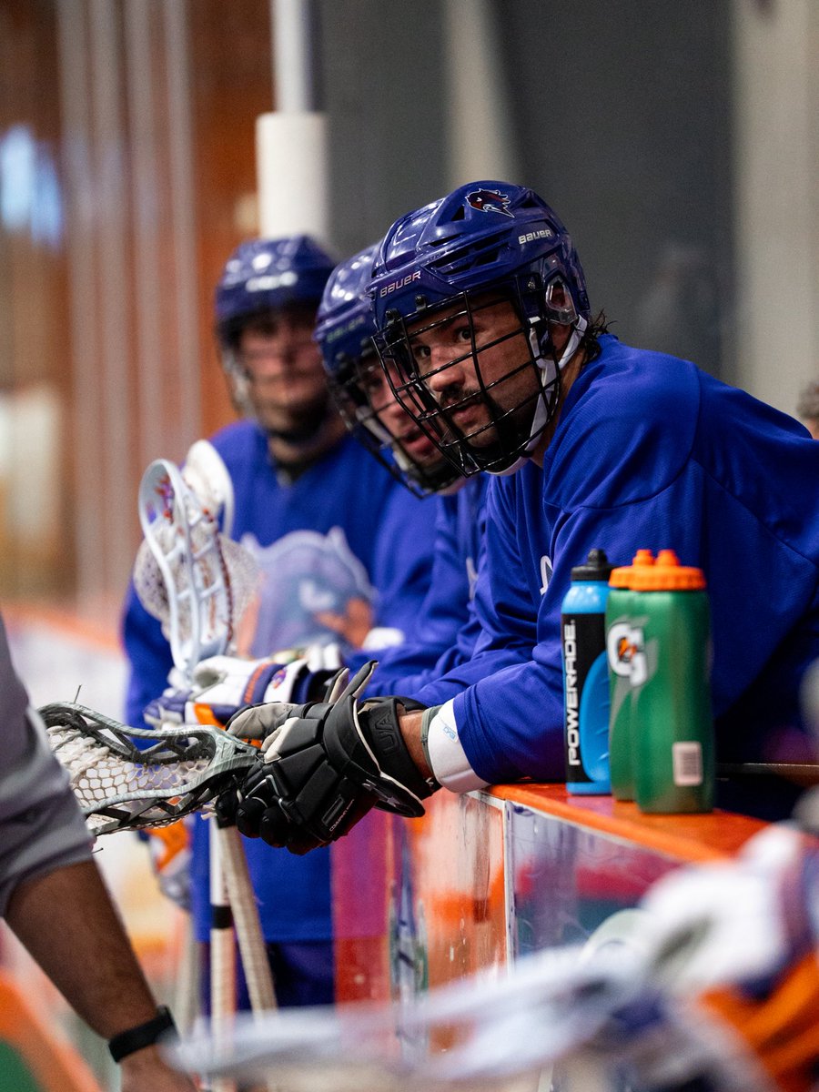 Halifax Thunderbirds tweet media