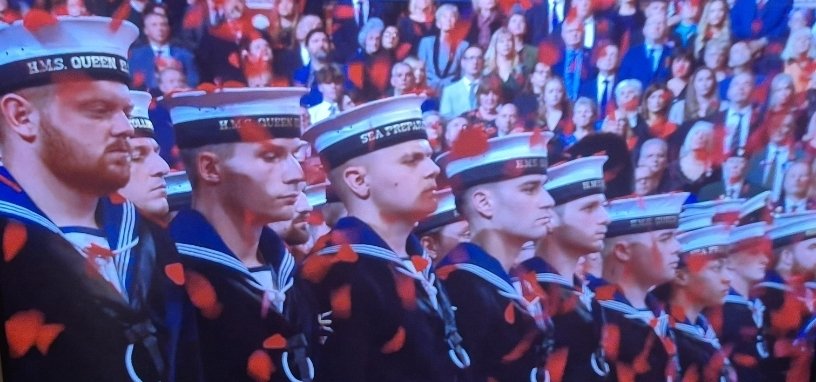 Royal British Legion of Remembrance on BBC1. 🎺 

"At the going down of the sun and in the morning
We will remember them."