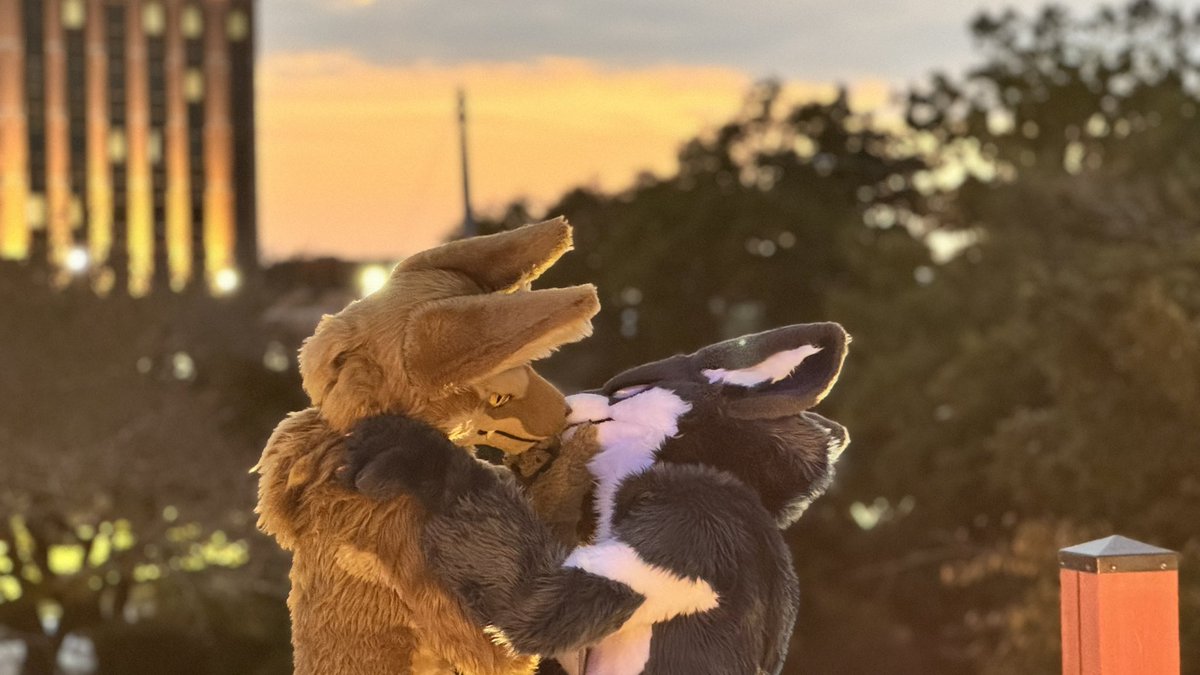 口の中におやつが無いか探しているだけ
 #Kemocon18