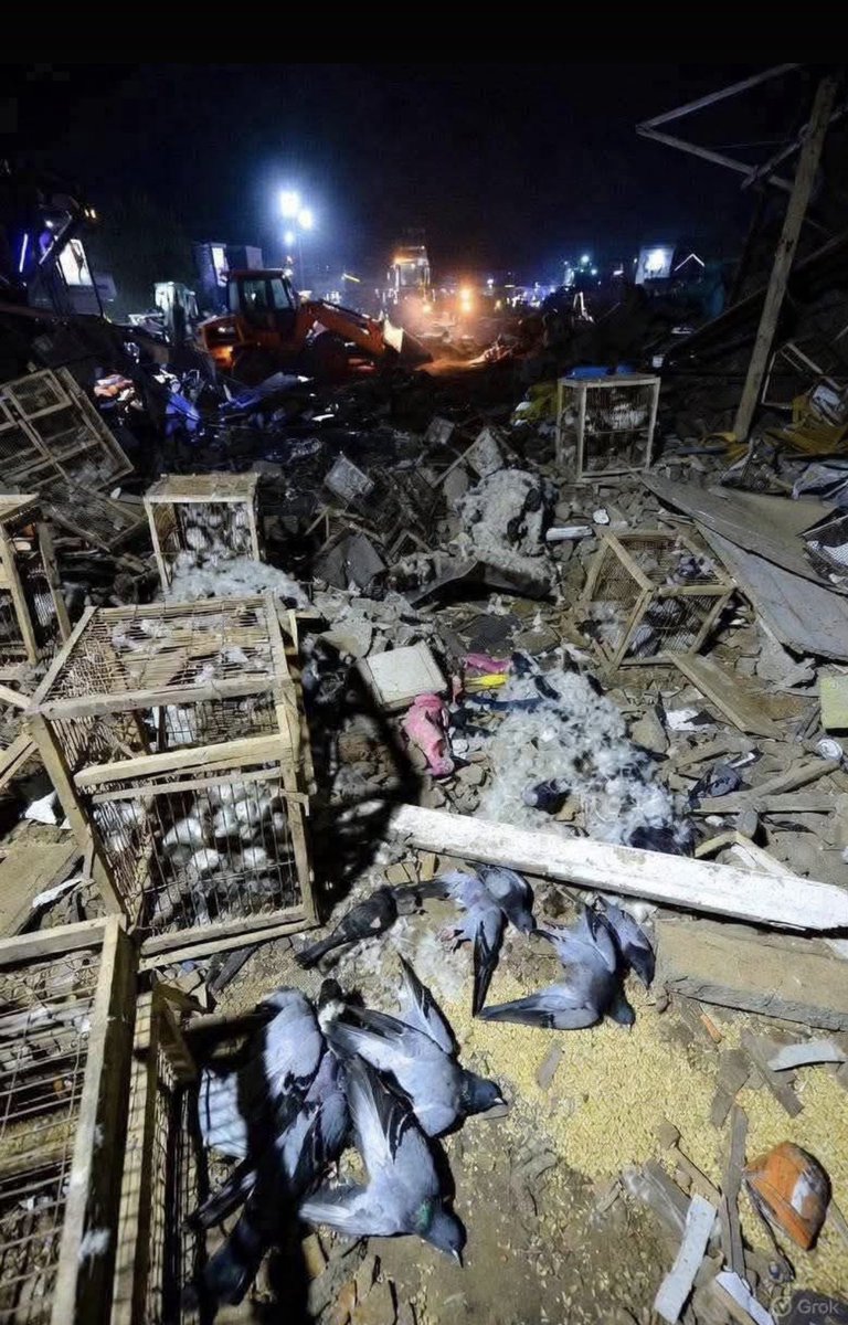 ia_rajpoot's tweet image. سینکڑوں معصوم پرندوں پر ظلم۔۔۔۔۔

لاہور میں داتا دربار سامنے پرندوں کی مارکیٹ میں پنجاب گورنمنٹ کے تجاوزات خلاف آپریشن بعد کی لی گئی تصویر