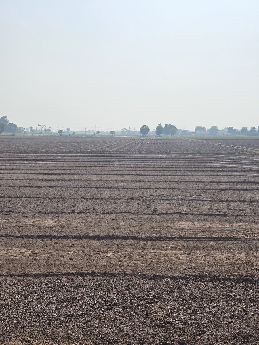 awaisgee75's tweet photo. Visited Seethi Seeds HQ & farms 🌾. Met CEO Mr. Saleem Bari & R&D Director Mr. Imtiaz to discuss future projects, material testing & evaluation. Strengthening the academia-industry nexus for sustainable agriculture & empowered farmers! 🤝
#AgriInnovation #SustainableFarming #CEMB https://t.co/CKTu6bfZm4