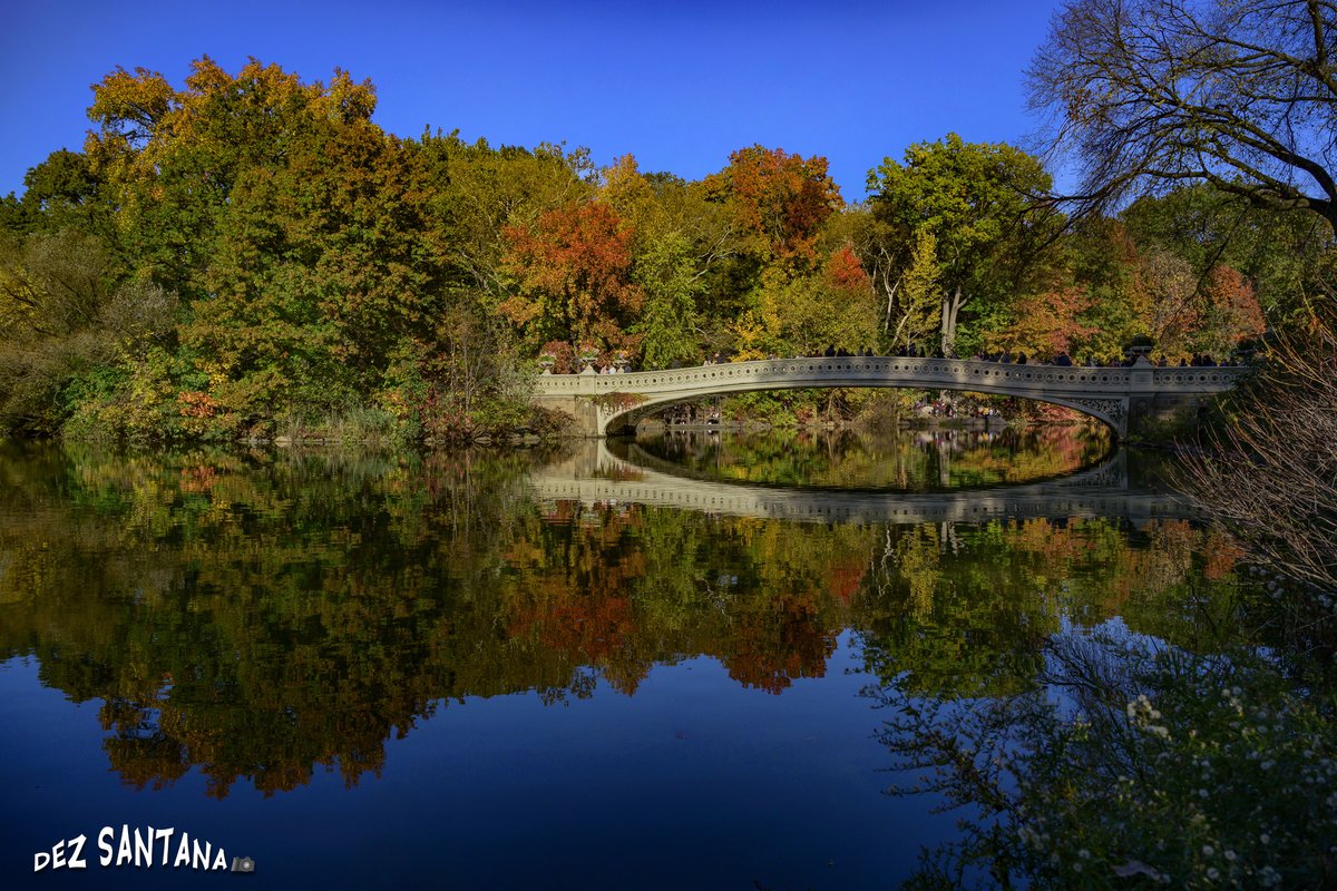 DezSantanaPhoto's tweet image. Pumpkin Spice &amp;amp; Everything Nice 🍁🍃 🍂
#autumn #fallcolors #nyc