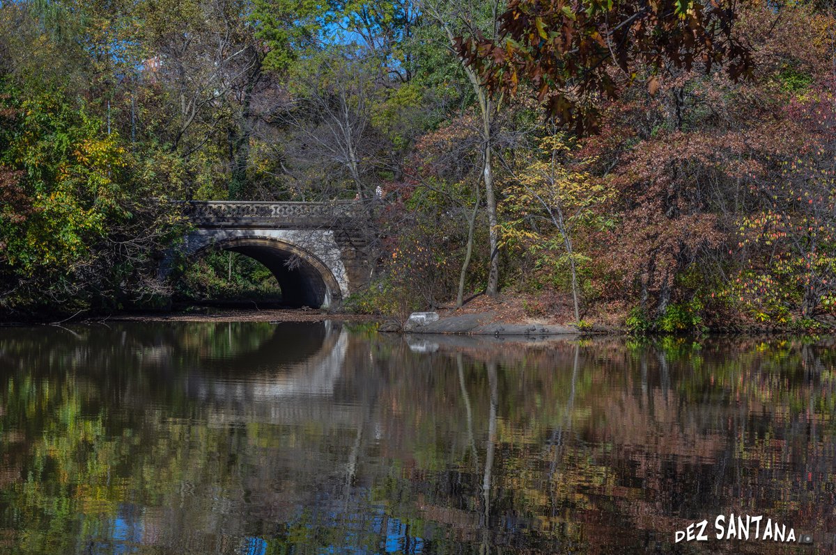 DezSantanaPhoto's tweet image. Pumpkin Spice &amp;amp; Everything Nice 🍁🍃 🍂
#autumn #fallcolors #nyc