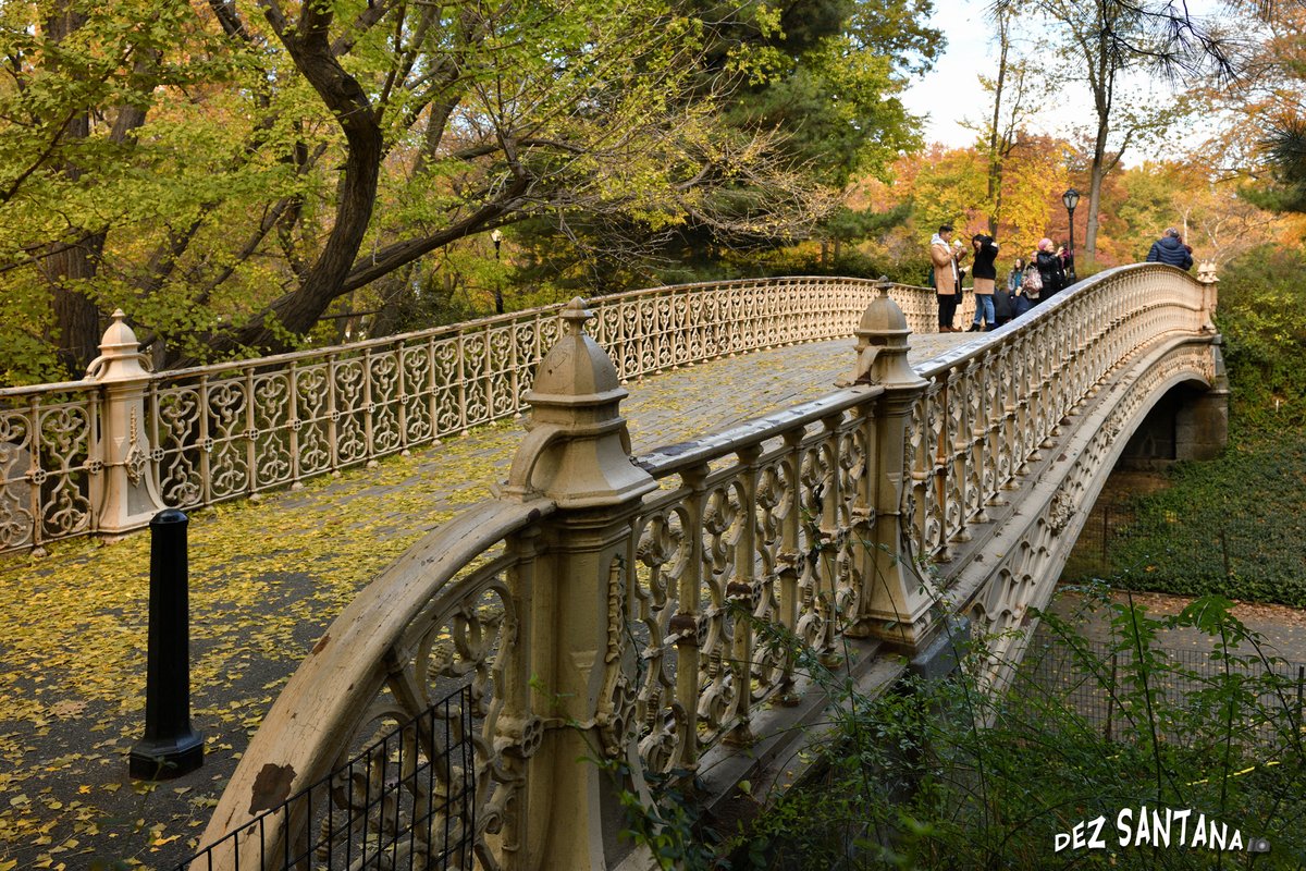 DezSantanaPhoto's tweet image. Pumpkin Spice &amp;amp; Everything Nice 🍁🍃 🍂
#autumn #fallcolors #nyc
