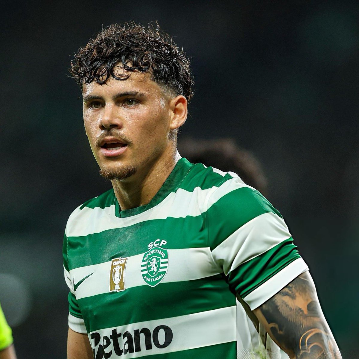 Maxi Araújo tem sido uma das peças fundamentais da equipa e hoje sacrificou-se pela equipa, parou um lance de golo do adversário e viu vermelho.

Depois disso o Sporting chegou ao golo e somou os 3 pontos.

OBRIGADO LEÃO 👏🏼💚