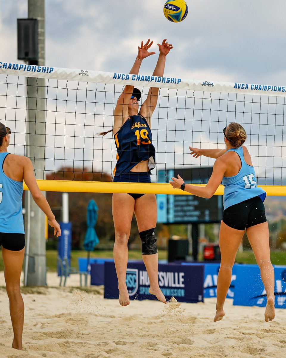 Did our thing on Day 2 of the <a href="/AVCAVolleyball/">AVCA</a> Pairs National Championships

#GoBears🐻| #BeachBears