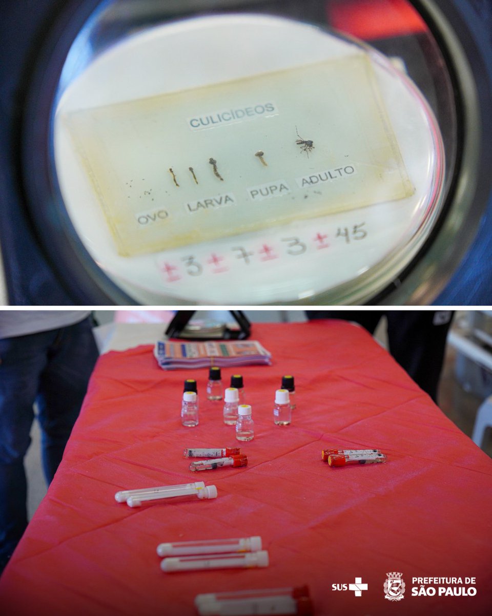 saudeprefsp's tweet image. A união de esforços é fundamental para reduzir a transmissão de dengue, zika e chikungunya na capital.

Confira sua casa e elimine possíveis focos de água parada.

#DiadeCombateaDengue #SaudePrefSP #SPContraDengue