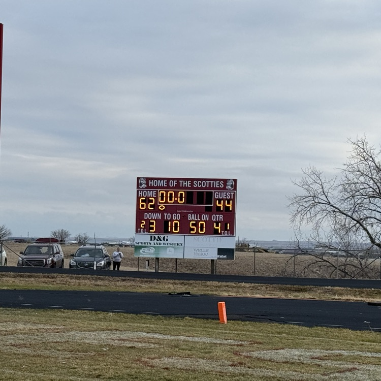 Glasgow Scotties tweet media