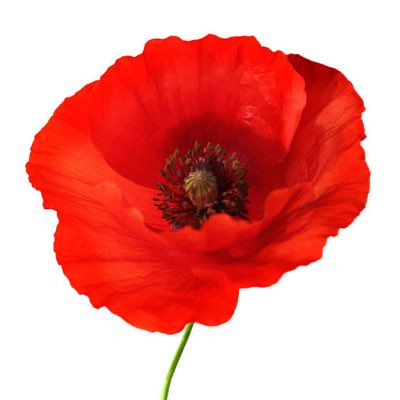 BobPaine1's tweet photo. #NewProfilePic https://t.co/TMFSDGRNNr