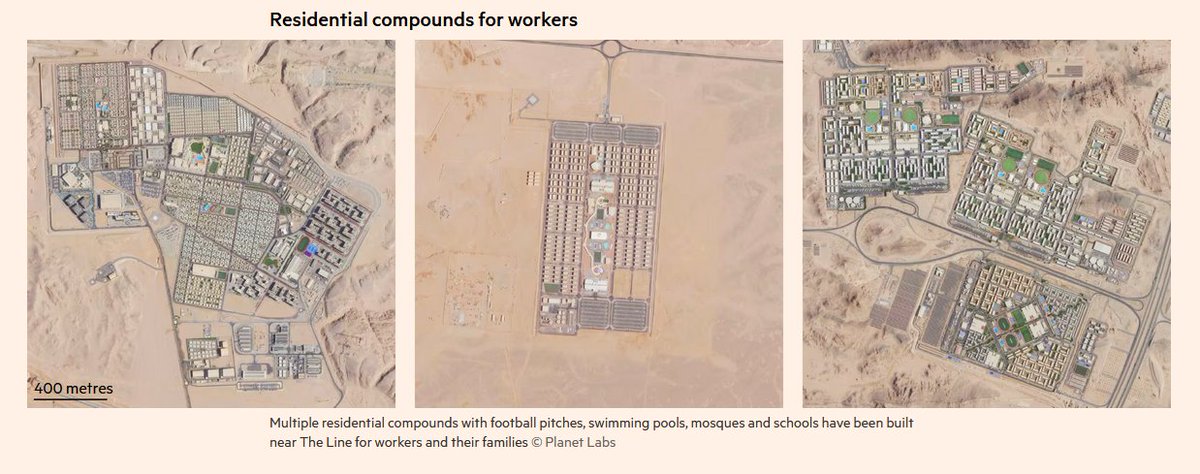 jovial cackler tweet media