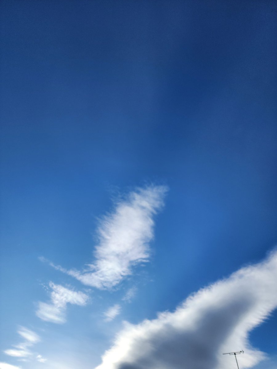 朝のお仕事に行く前に撮ってみました👍