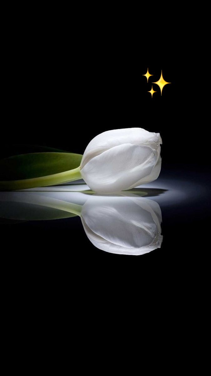 Brillo_y_luz's tweet photo. Espérame en nuestro sueño
ese que está hecho especial
solo para ti y solo para mi .. ✨️ https://t.co/vZHn87xXZ1