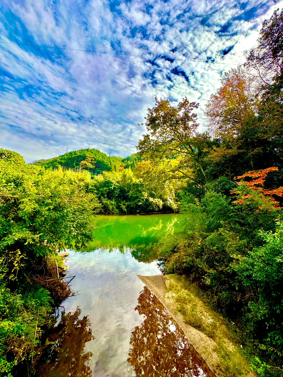 くーちゃん (@Vfq8og7F4blwZxZ) / Posts / X