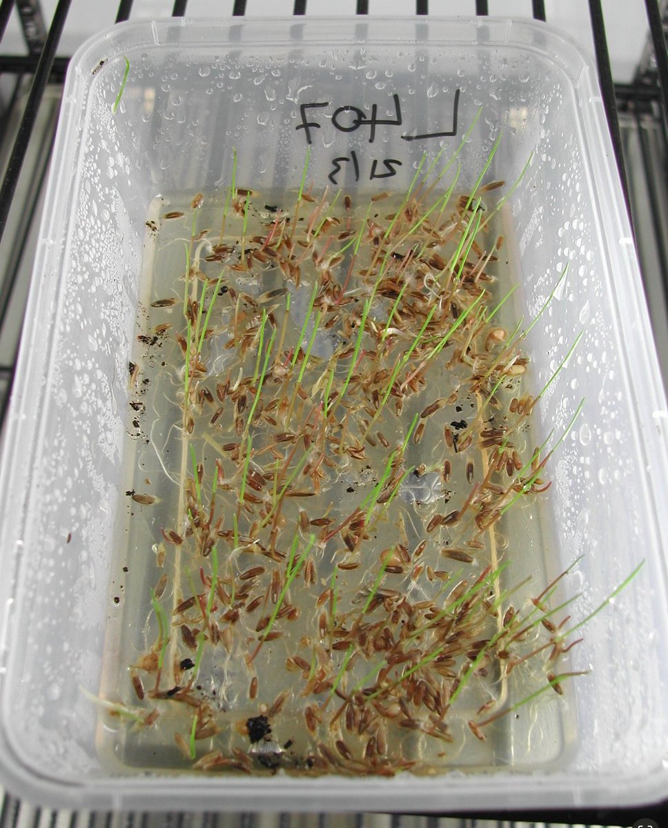 Peter Boutsalis tweet media