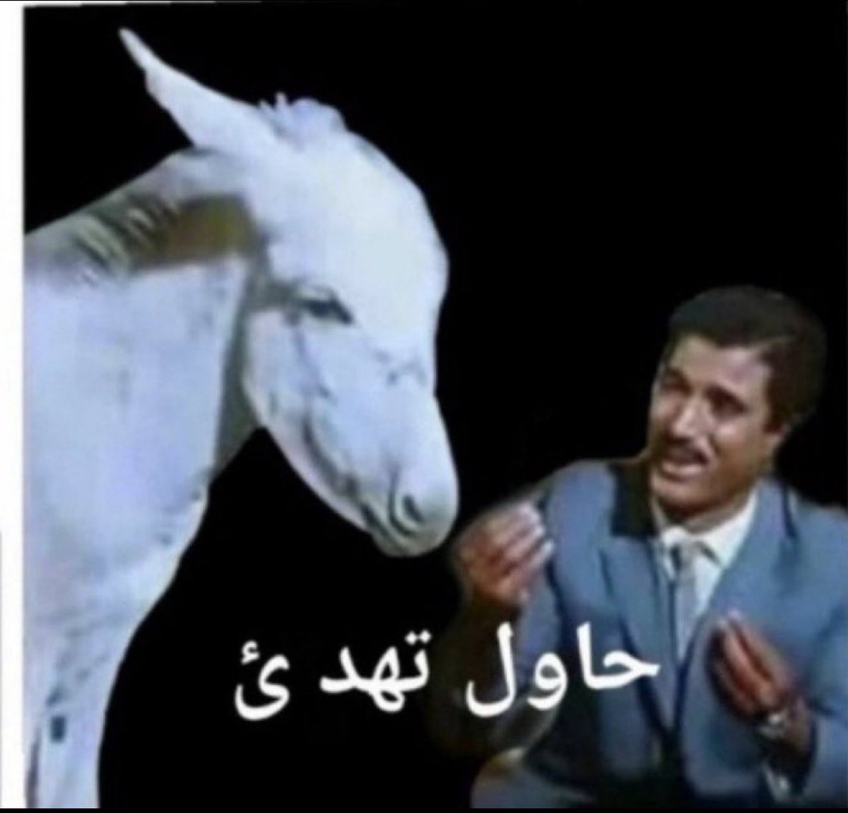 AljassmiWa6239's tweet photo. @Cr7infoOsman @RaymondFHakim حمار https://t.co/toYDMYsXDh