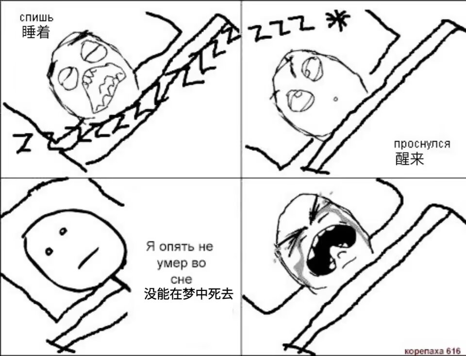 tongyu0106's tweet image. 