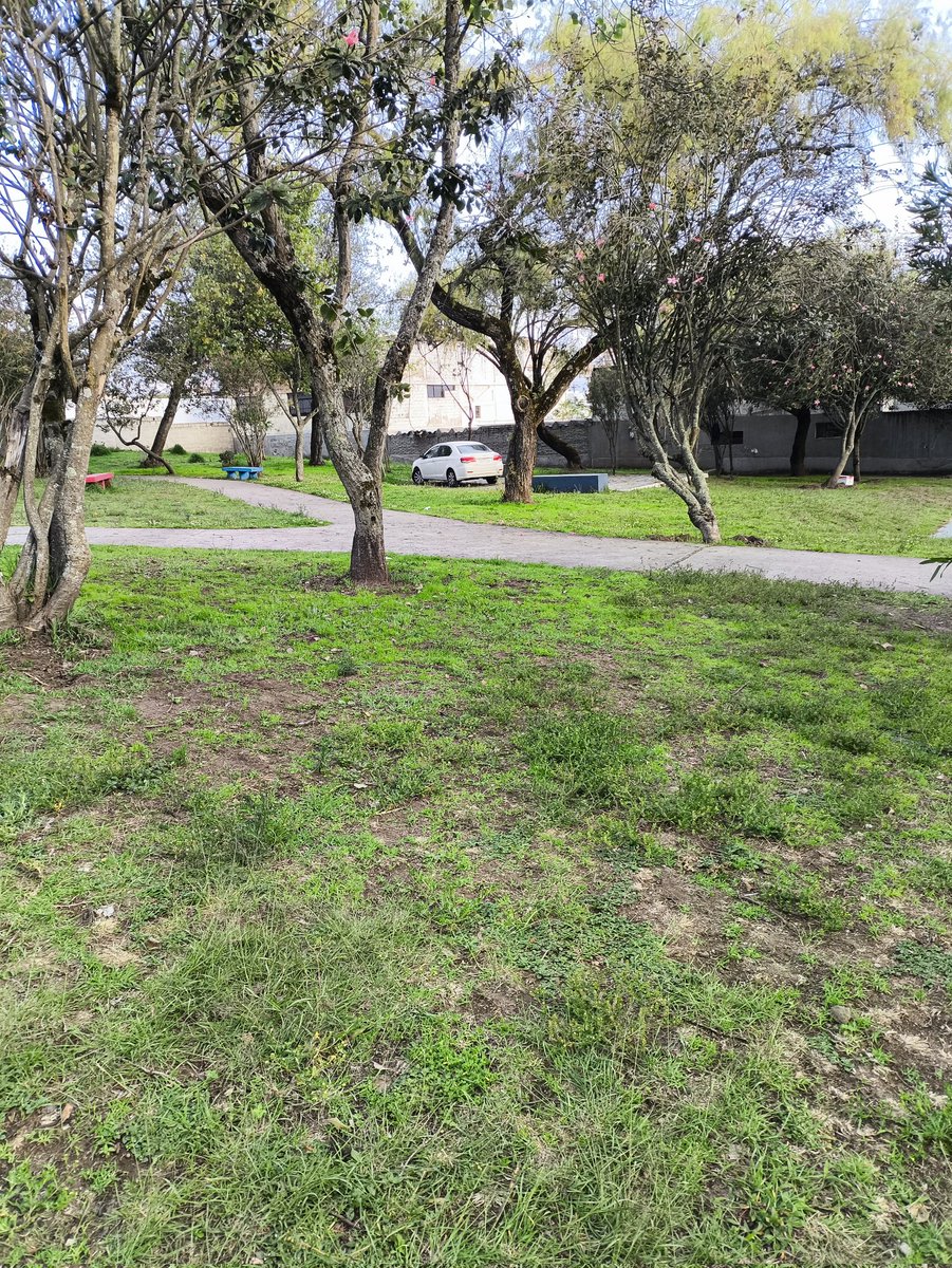 Andreshakur's tweet photo. @AMT_Quito hace más de una hora hay un auto parqueado dentro del parque Bonanza, en el sector de la California Alta y la Kennedy. https://t.co/M90l0o1Xra