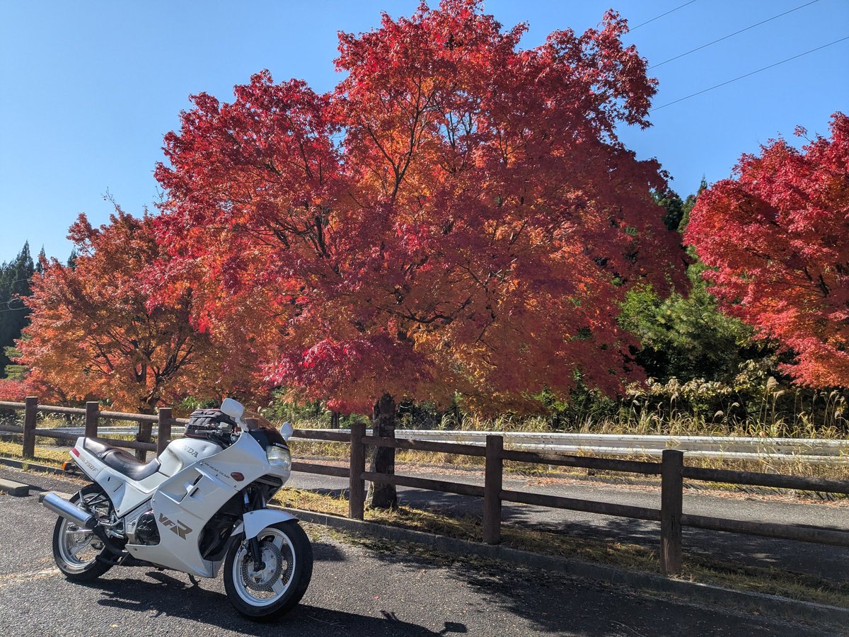 kom2base's tweet photo. 今日は雨か( ̄0 ̄)昨日乗っておいてよかったわぃ
#VFR750F
#RC24
#インターセプター https://t.co/mRt0oP7fw7