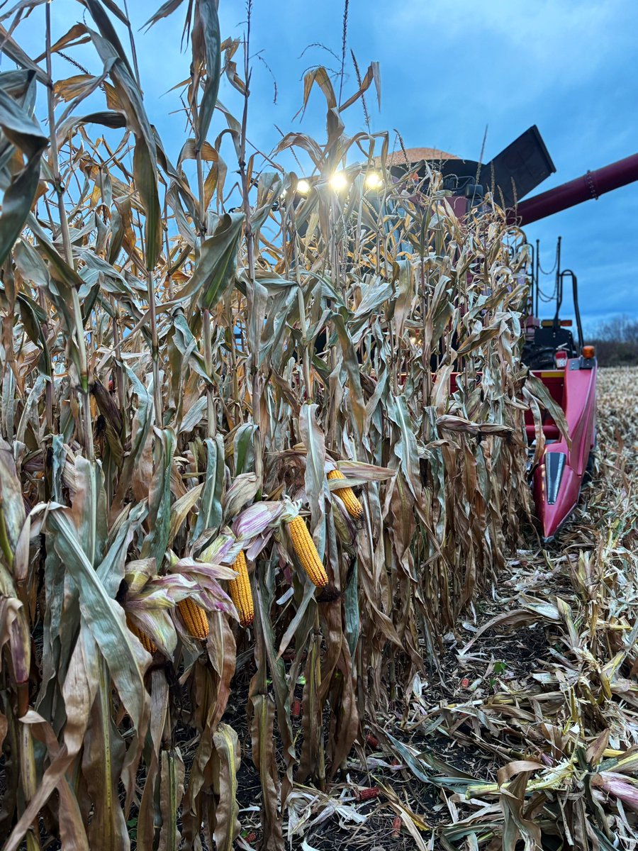 Dan Hayden tweet media