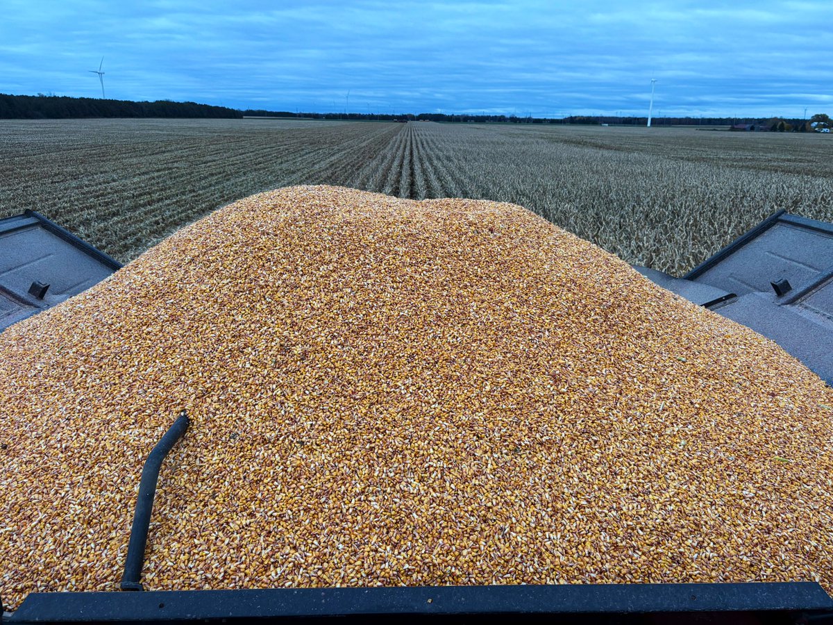 Dan Hayden tweet media