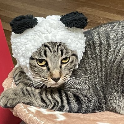 まさくん (@QmeUNo2nK8R7AFY) / Posts / X