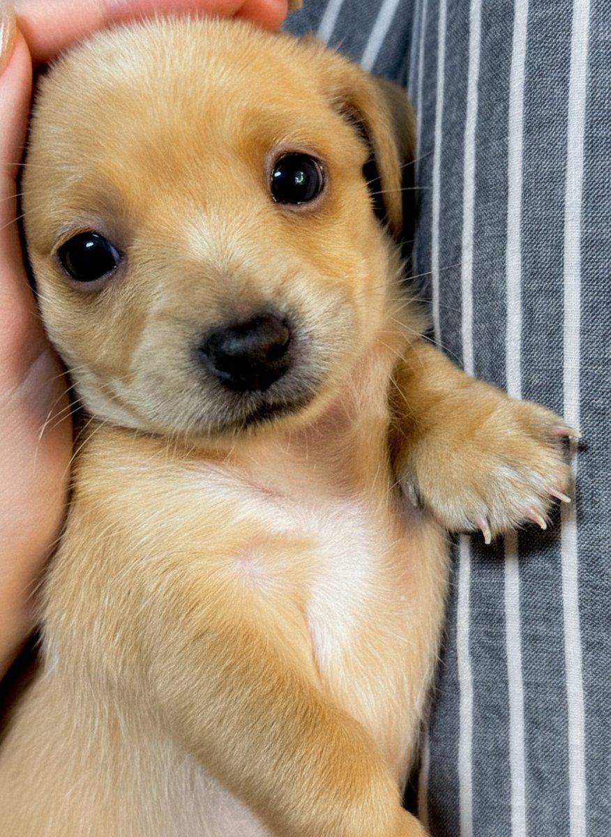 Name him whatever you last ate 😭