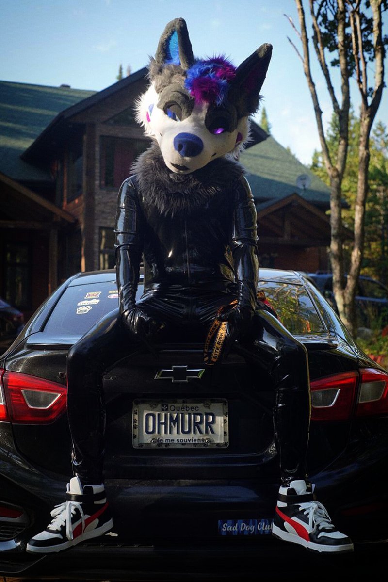 Read the plate ~ 😉✨️🖤

📸 : <a href="/CuddlyButAD/">Spicy Plouf (barely on here anymore 🦋)</a>

#ShinySaturday
#SqueakySaturday