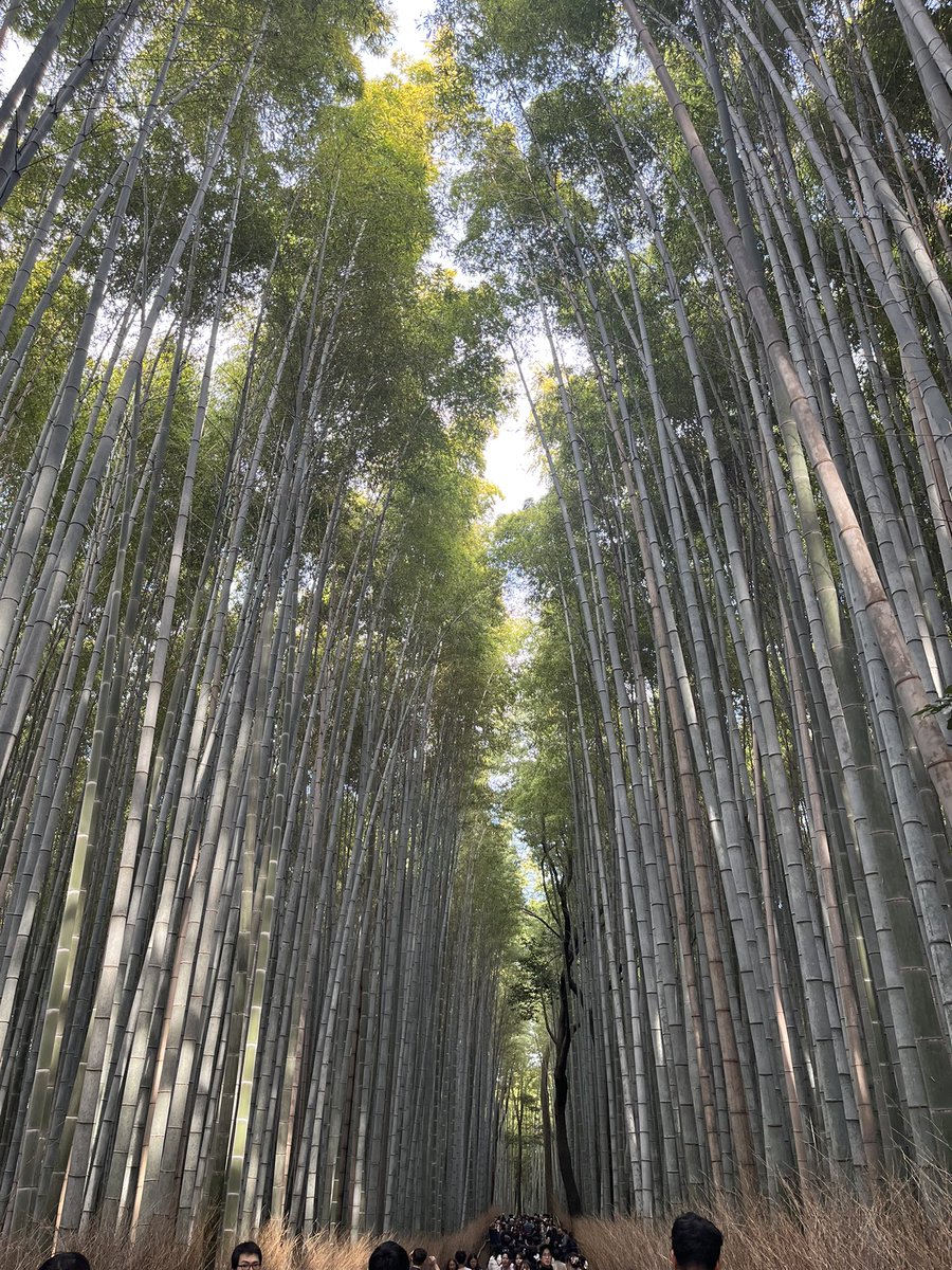 ゆま (@yumayuma7956) / Posts / X