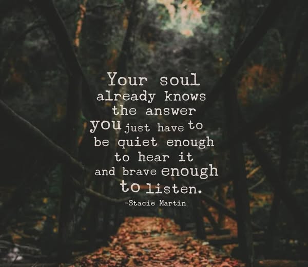 TrainingMindful's tweet image. #soul #wisdom