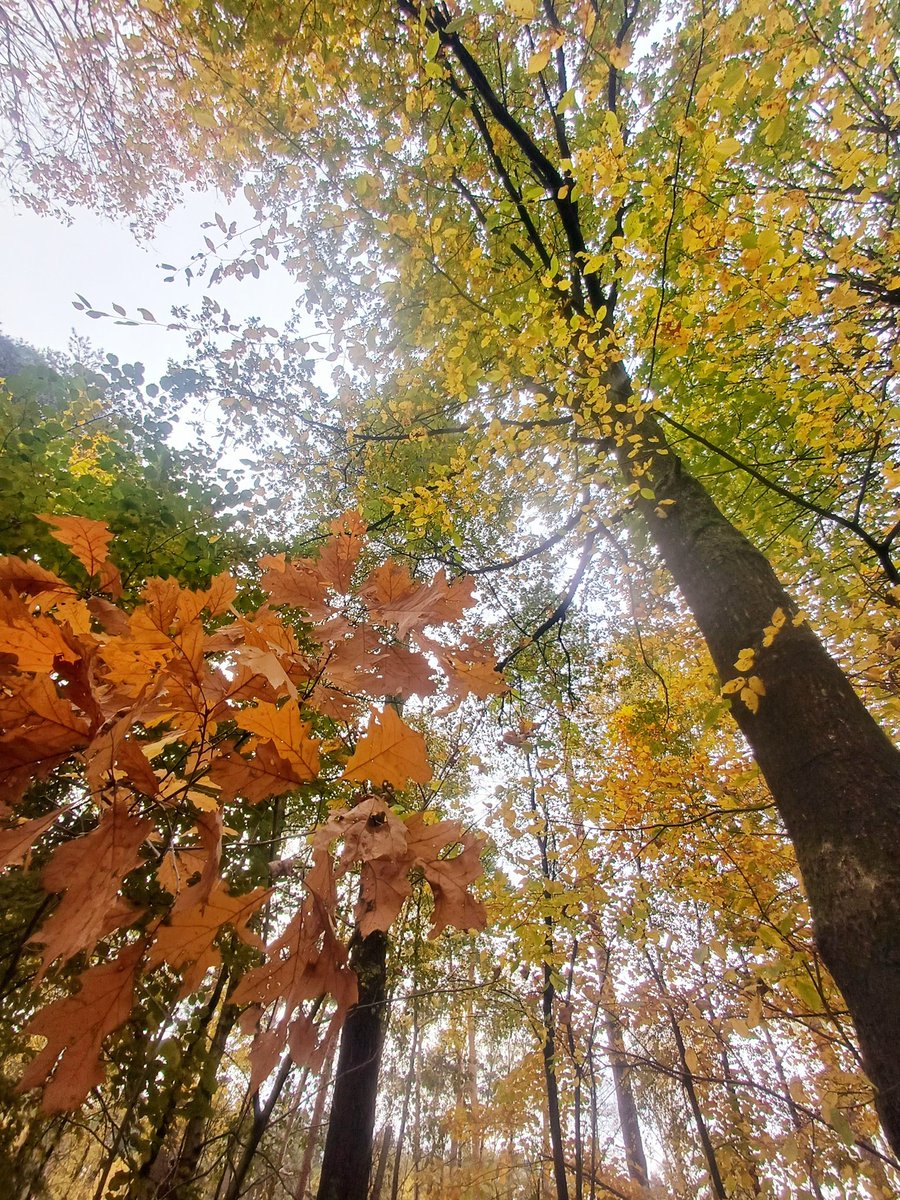 camerasnapshots (@camerasnapshots) on Twitter photo 