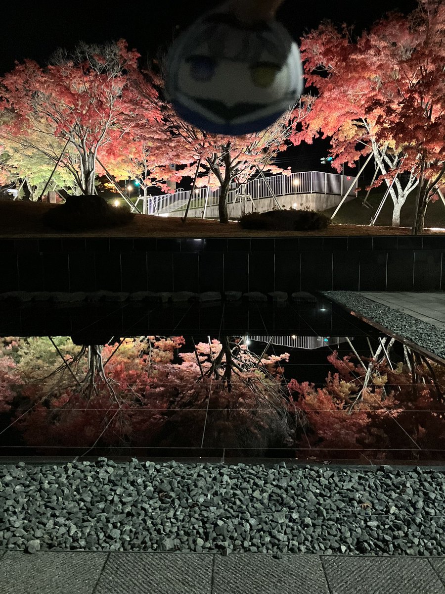 紅葉祭り行ったけど、中ボス感あるのしか撮れなかった