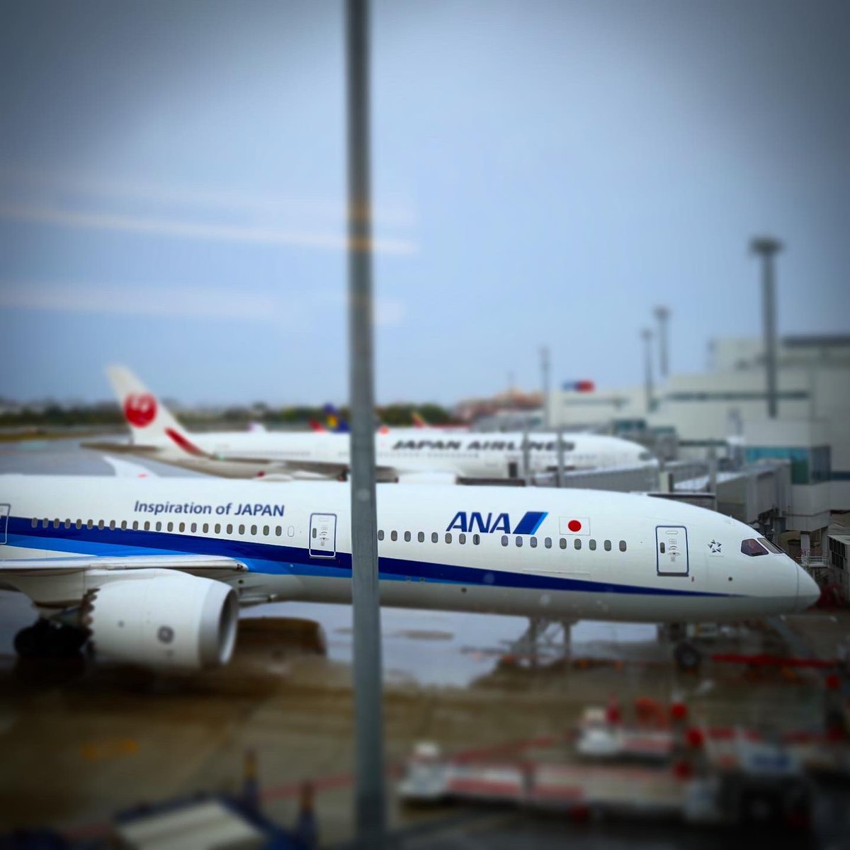 yoshihomma's tweet photo. Ready for departure. 久々の地獄シート💺 https://t.co/CMNbQiRRxB