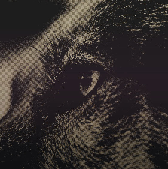 forlornhowls's tweet image. 𝒉𝒂𝒚𝒍𝒆𝒚 𝒎𝒂𝒓𝒔𝒉𝒂𝒍𝒍.